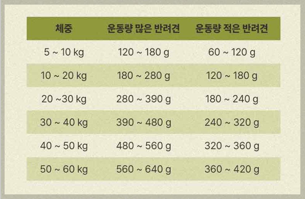 강아지 사료 추천 간식 선택 가이드