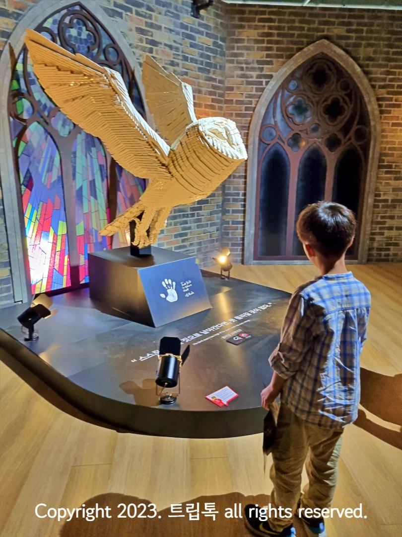 하얀색 브릭으로 만든 날아가는 부엉이의 모습을 보는 아이