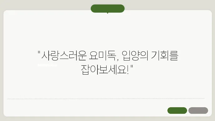 군포강아지무료양 요미독