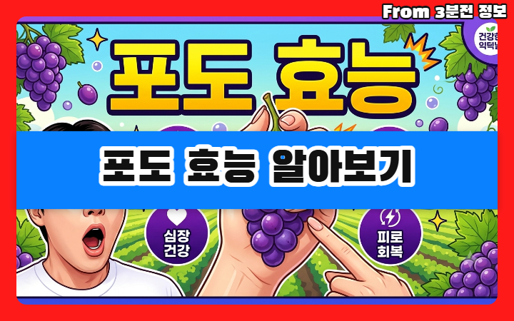 포도 효능 알아보기