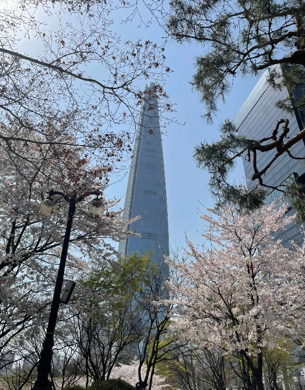석촌호수에서 바라보는 롯데월드타워