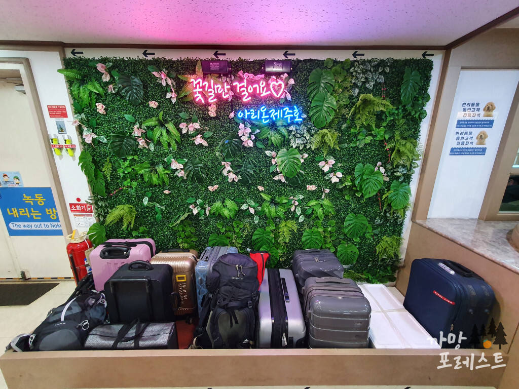 아리온 제주 내부 2