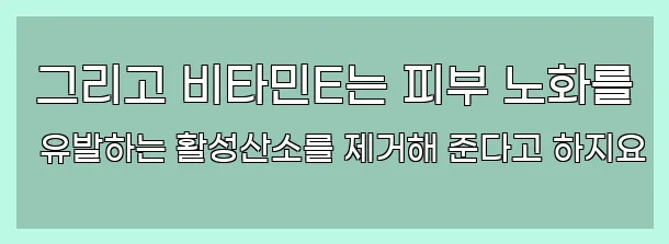  그리고 비타민E는 피부 노화를 유발하는 활성산소를 제거해 준다고 하지요