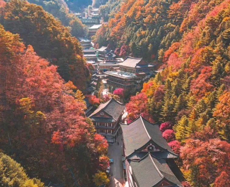 구인사절경