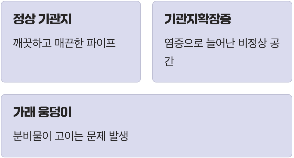 '가래 공장'이 되어버린 폐