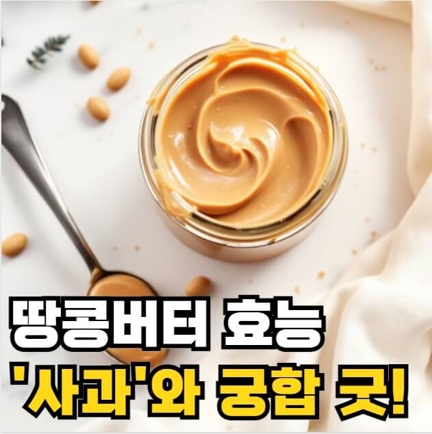 땅콩버터 효능