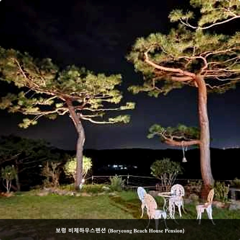 보령 비체하우스펜션 (Boryeong Beach House Pension)_5