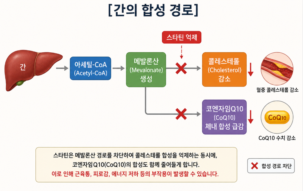간의 합성 경로 이미지