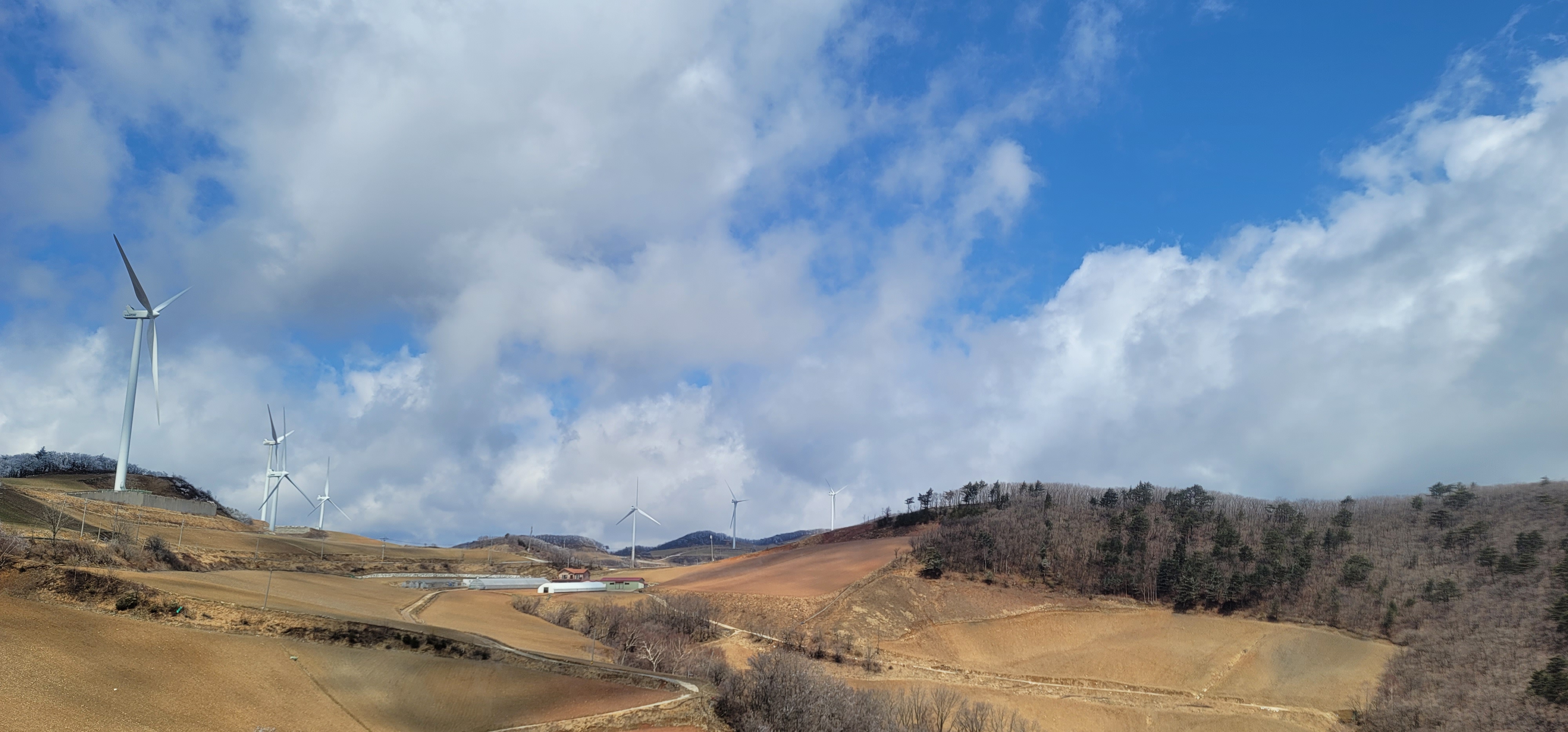 강릉 안반데기 조경