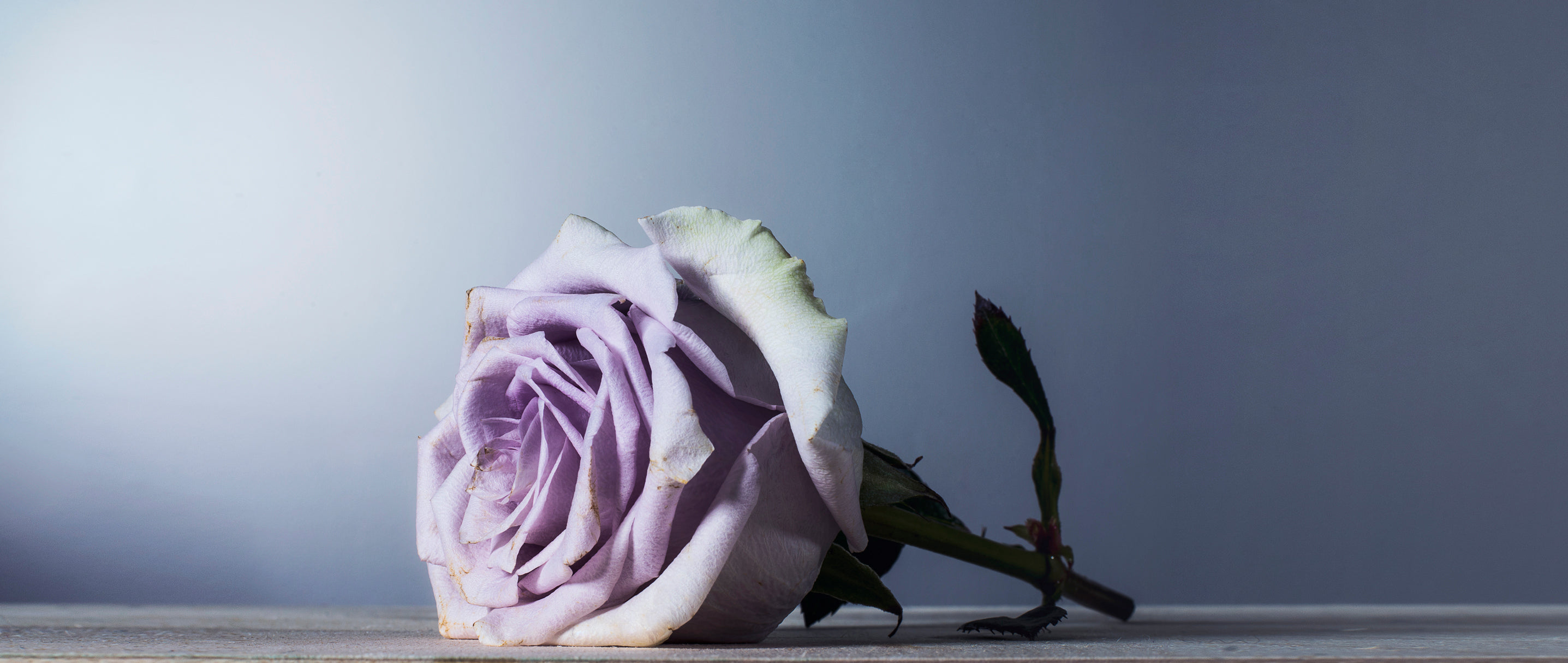 깨닳음과 깨달음 차이 알아보기