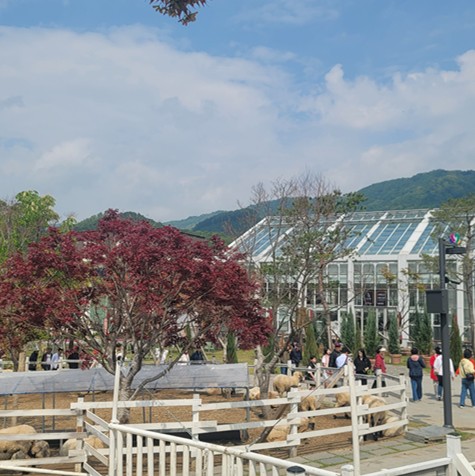 가평 베고니아 새정원 - 아이와 가볼만한 곳 추천, 후기