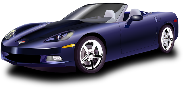 성능기록부 완전 분석 실전팁