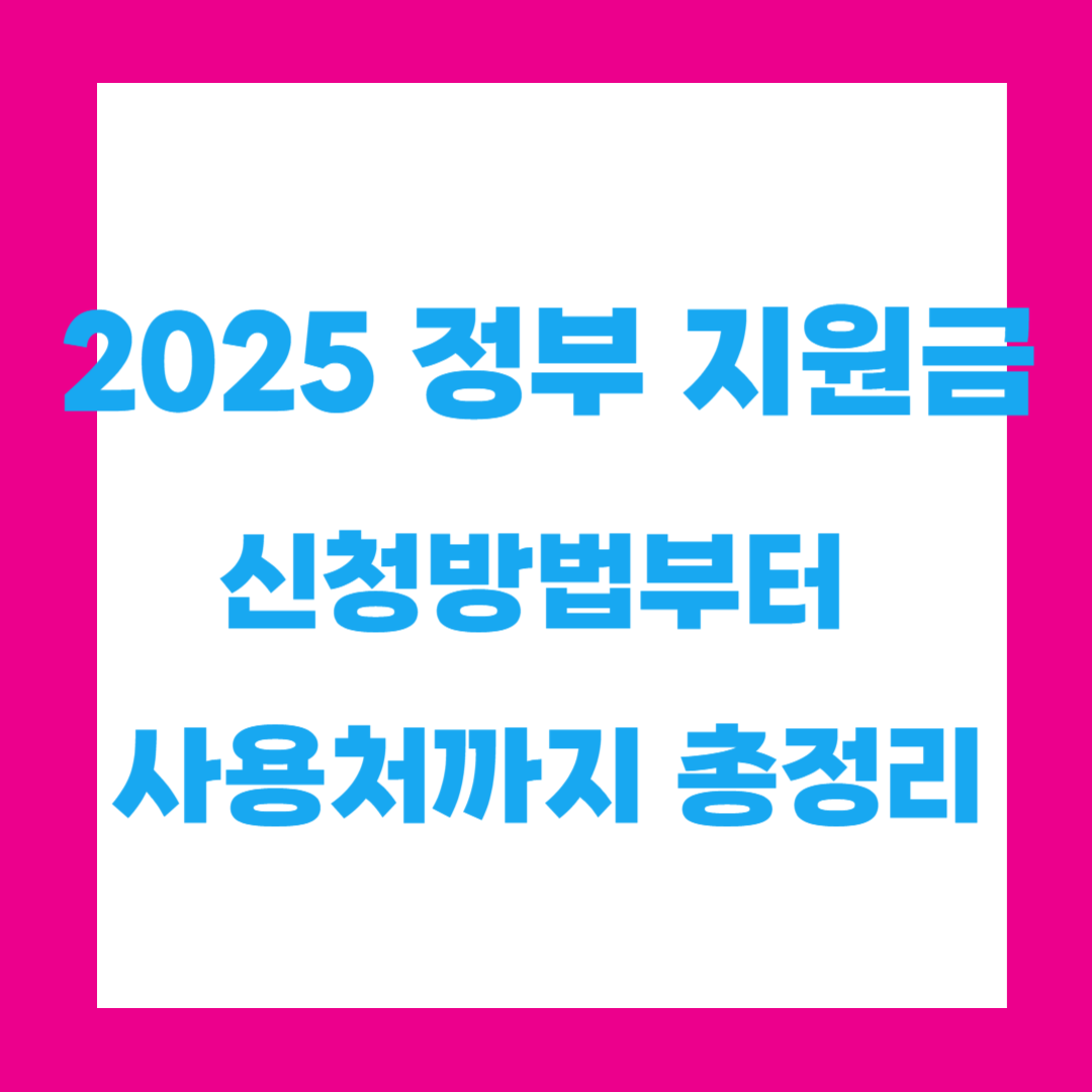 2025 정부 지원금 25만원! 내 지급액은? 신청방법부터 사용처까지 총정리