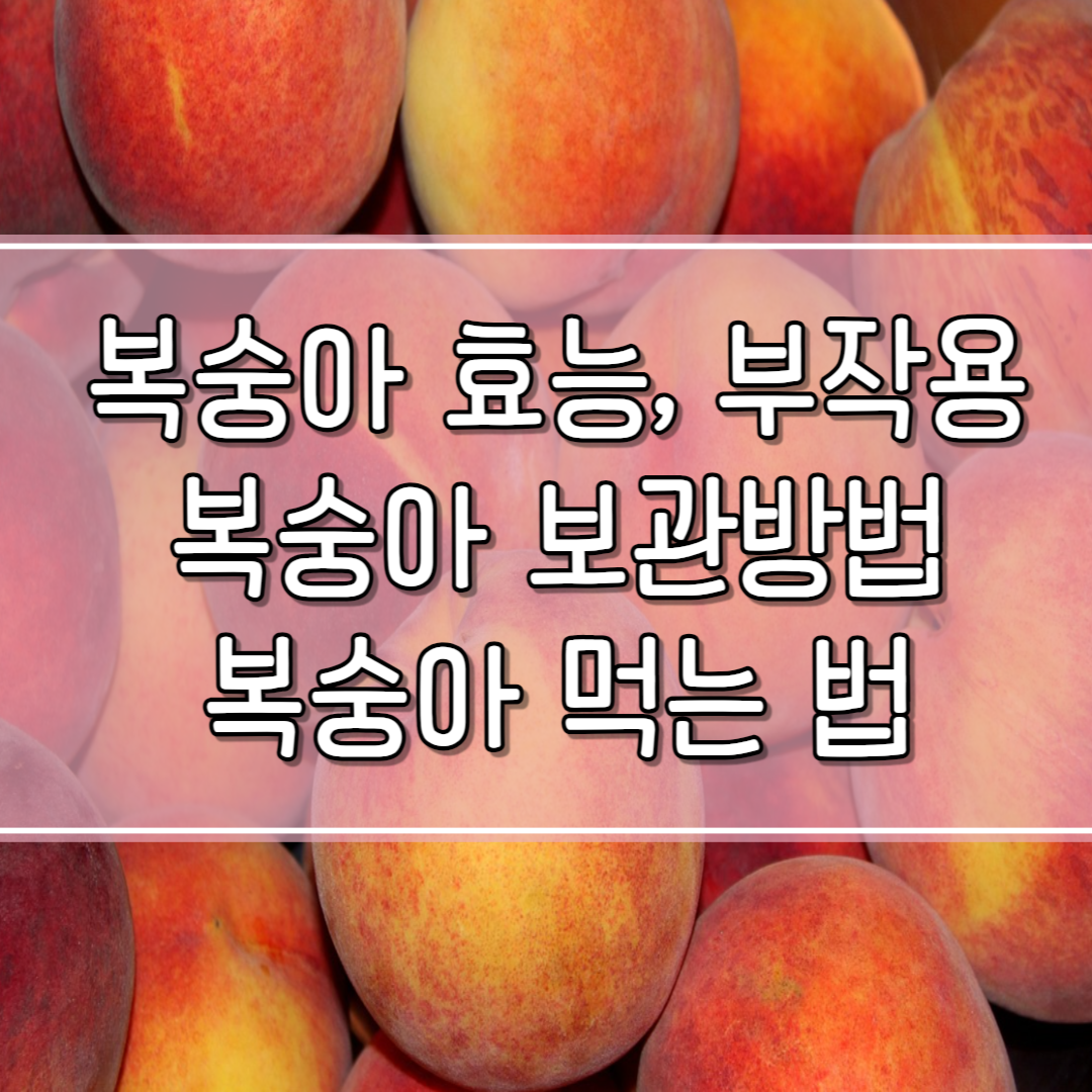 복숭아 효능 부작용 복숭아 보관법 복숭아 먹는법