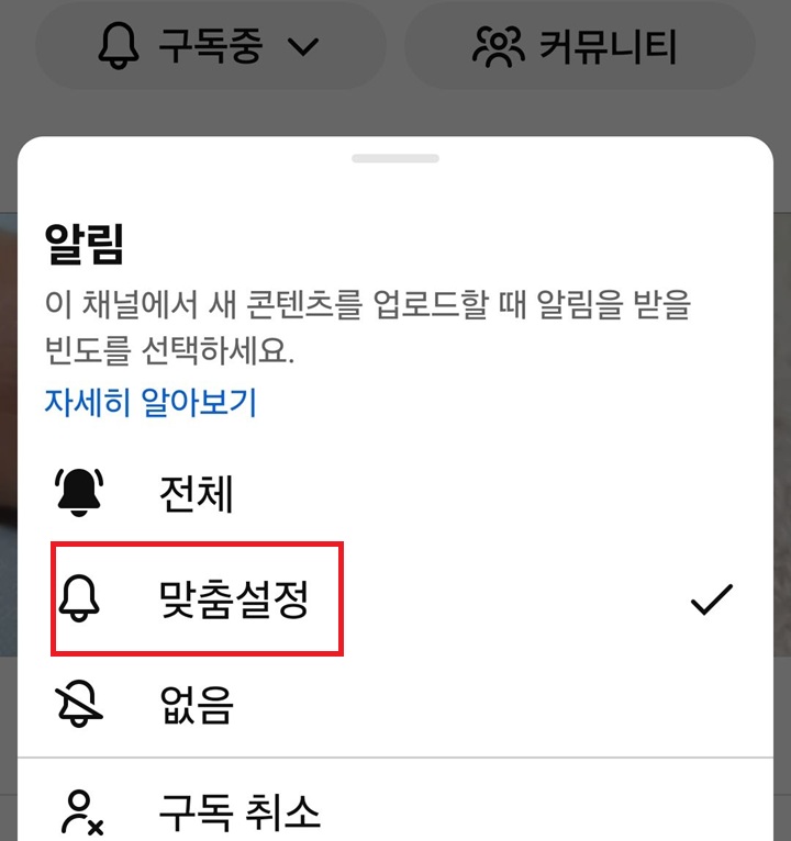 알림 설정 페이지에 맞춤 설정에 선택되어있음