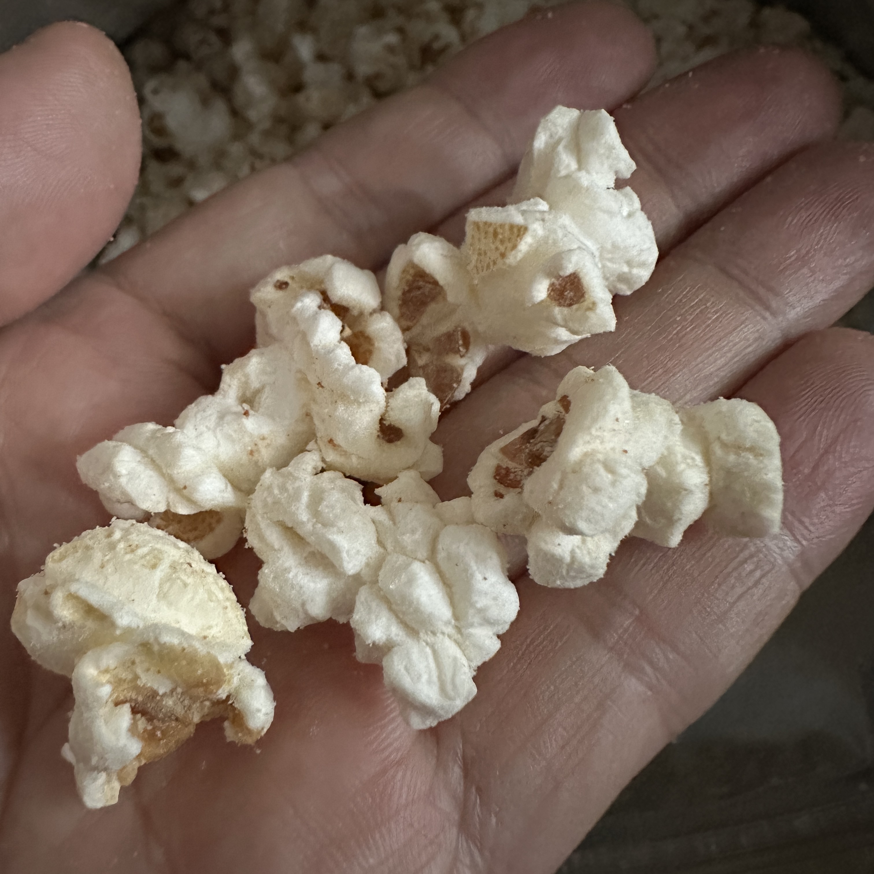 테라_청양마요팝콘