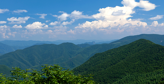 태백산 산행코스 지도