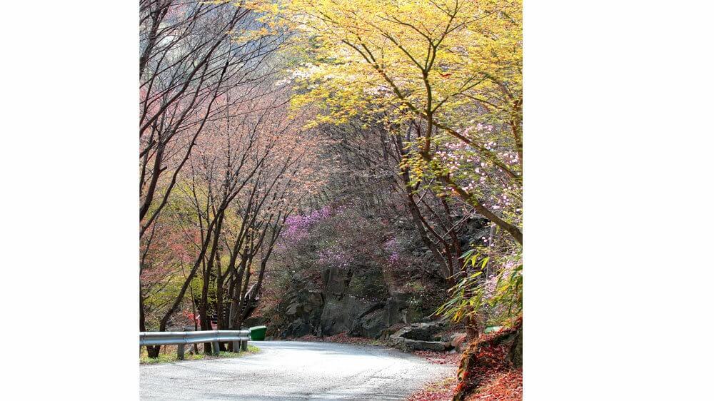 회문산 자연휴양림 예약