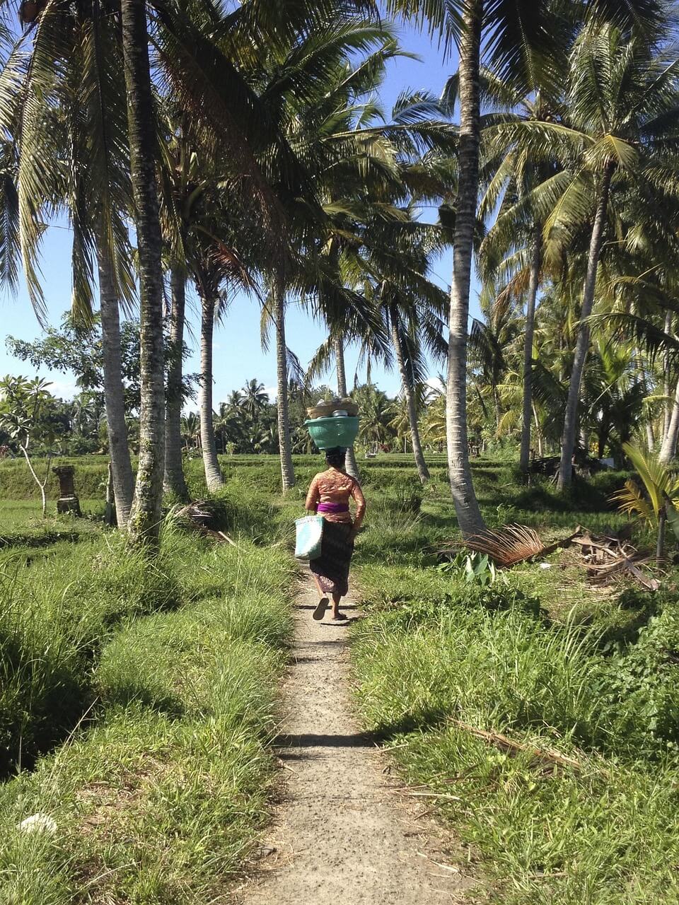 지방 소멸 : 사람을 끌어당기는 공간