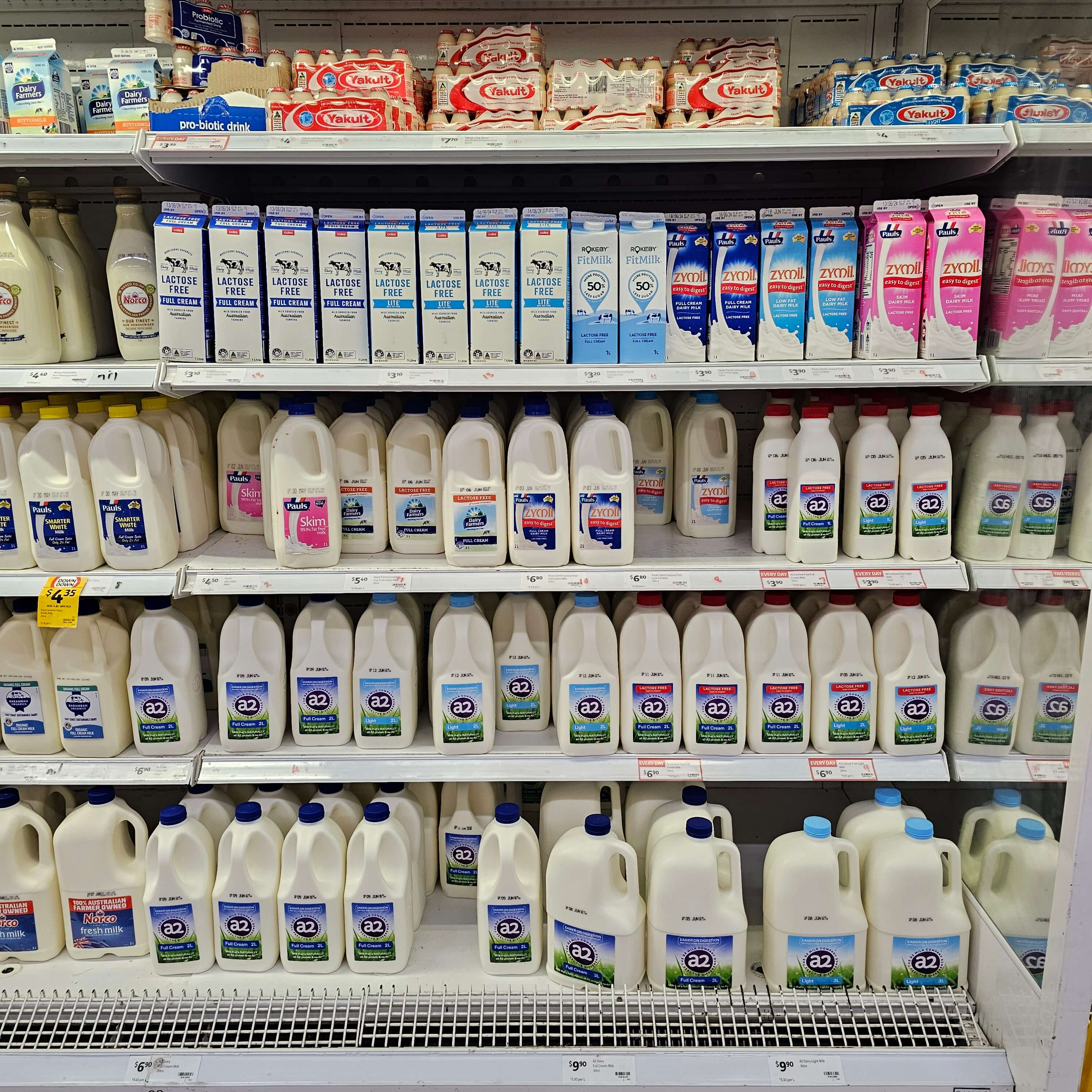 호주 여행 시드니 콜스 물가9