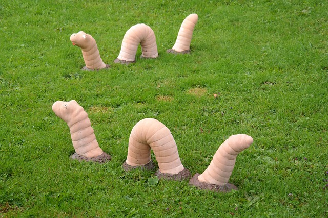 지렁이 꿈해몽&#44; 지렁이꿈&#44; 거머리 꿈해몽&#44; 거머리꿈