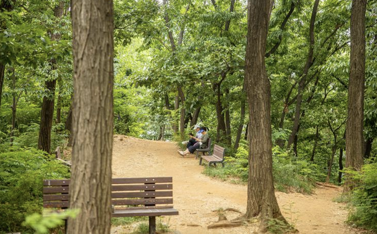 용왕산근린공원 이미지
