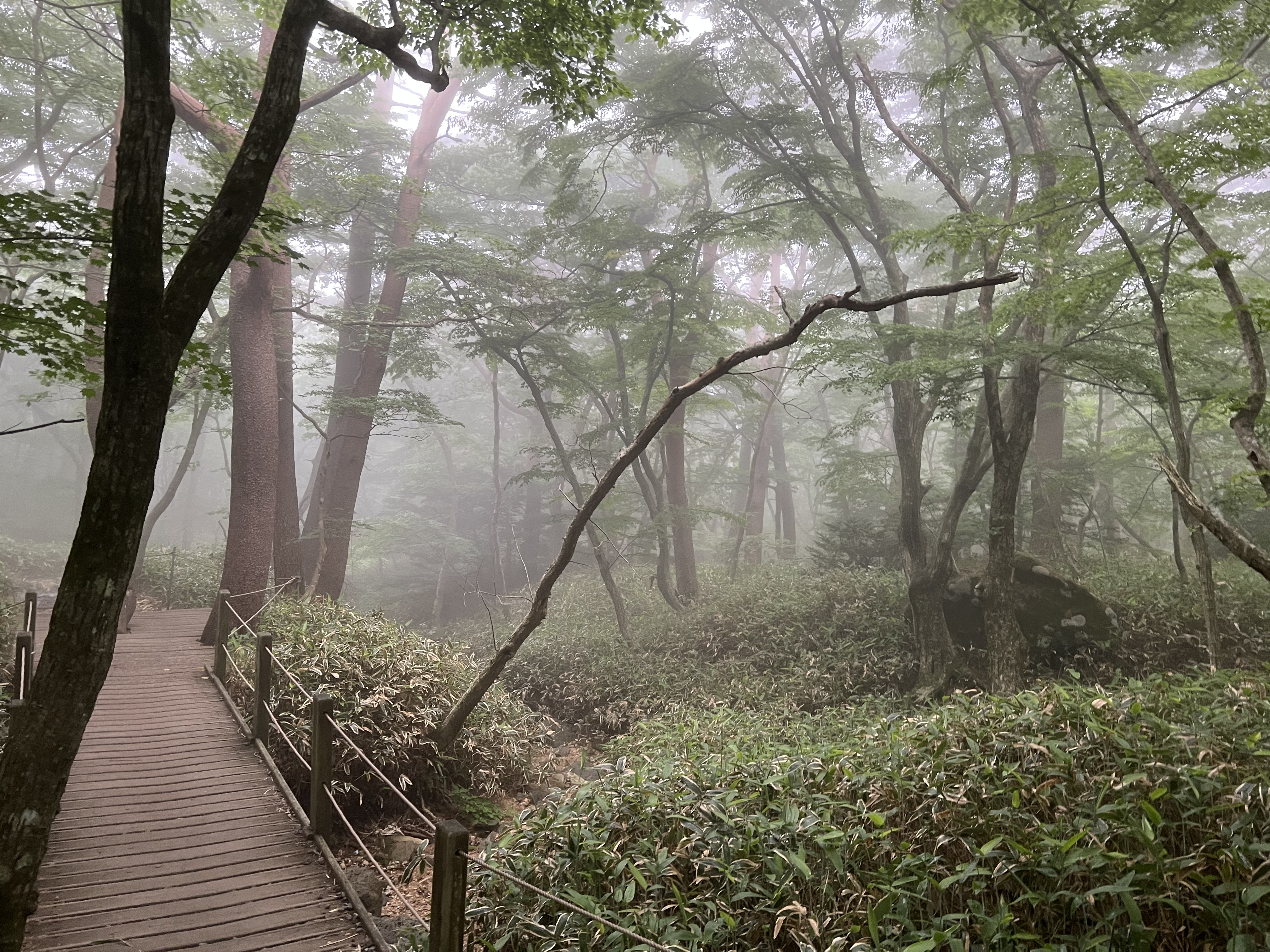 한라산-안개