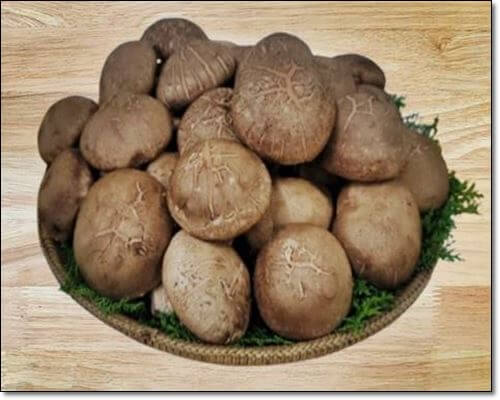표고버섯