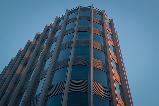 2025년 청년 전세자금 대출 자격 완벽 가이드