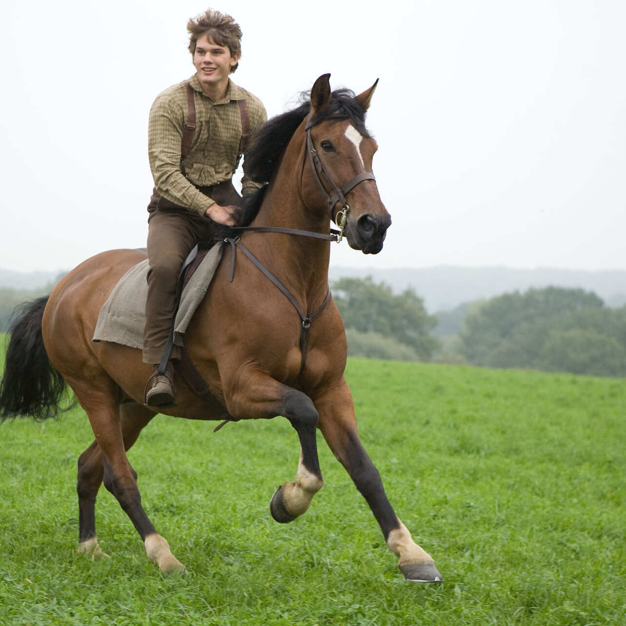 war horse movie