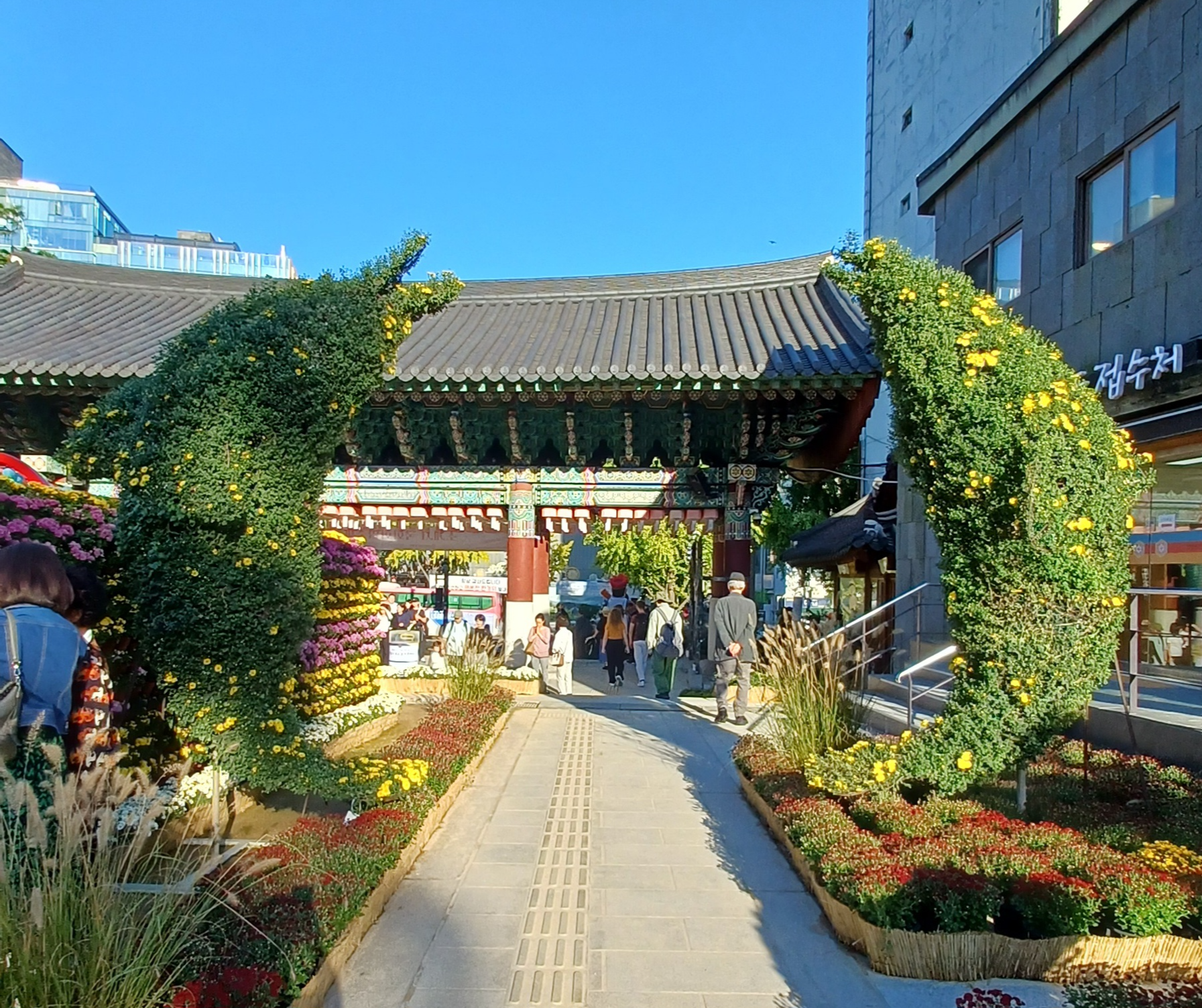 조계사-국화축제-8