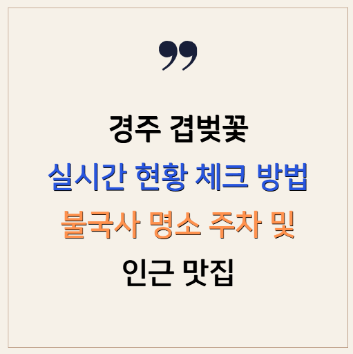 경주 겹벚꽃 실시간 현황 체크 방법 불국사 명소 주차 및 인근 맛집