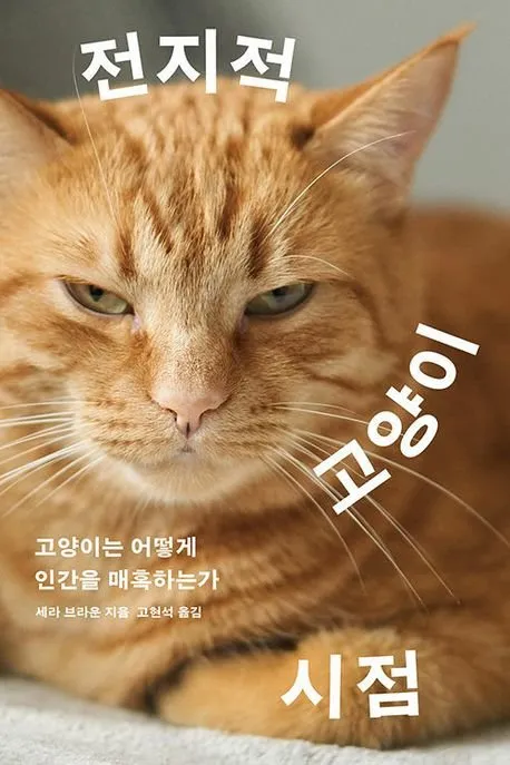 고양이 수다스러운 이유 7가지 행동 심리_8