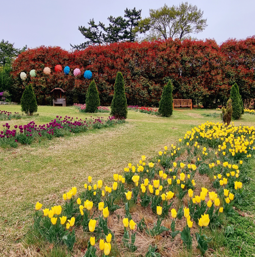 청산수목원 홍가시원