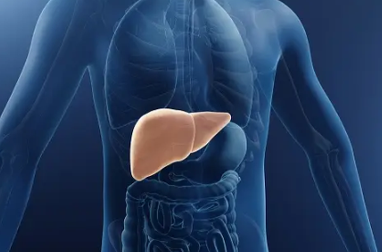 술 1급 발암물질