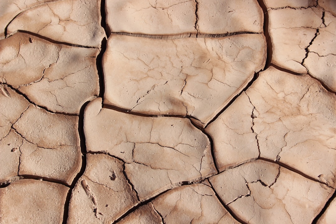 Dryness (건조)