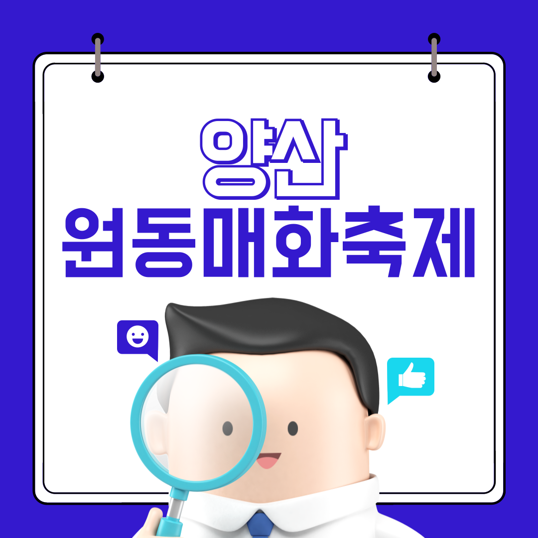 양산 원동매화축제 기본정보