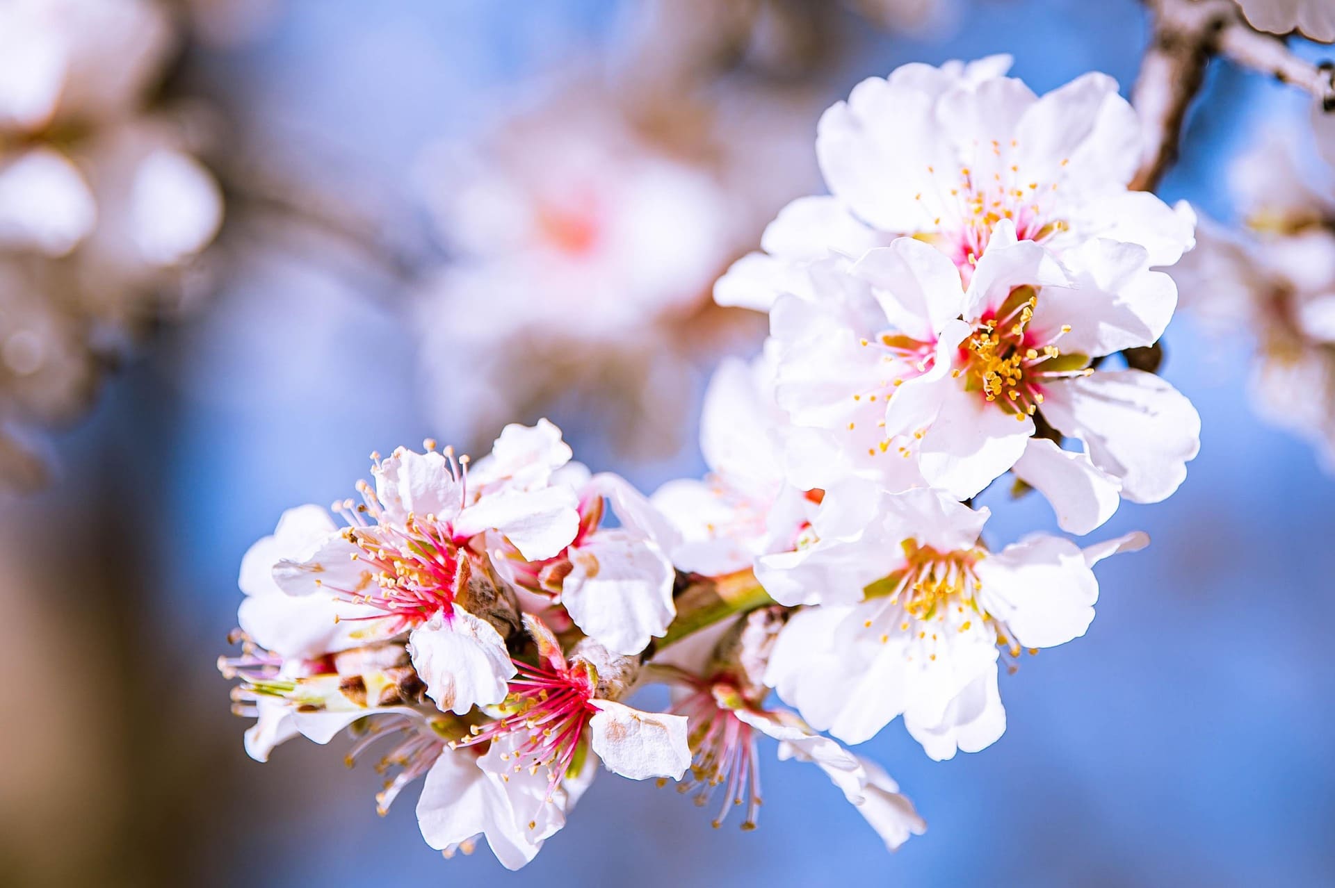 보문단지 주차장 혼잡도 확인 방법