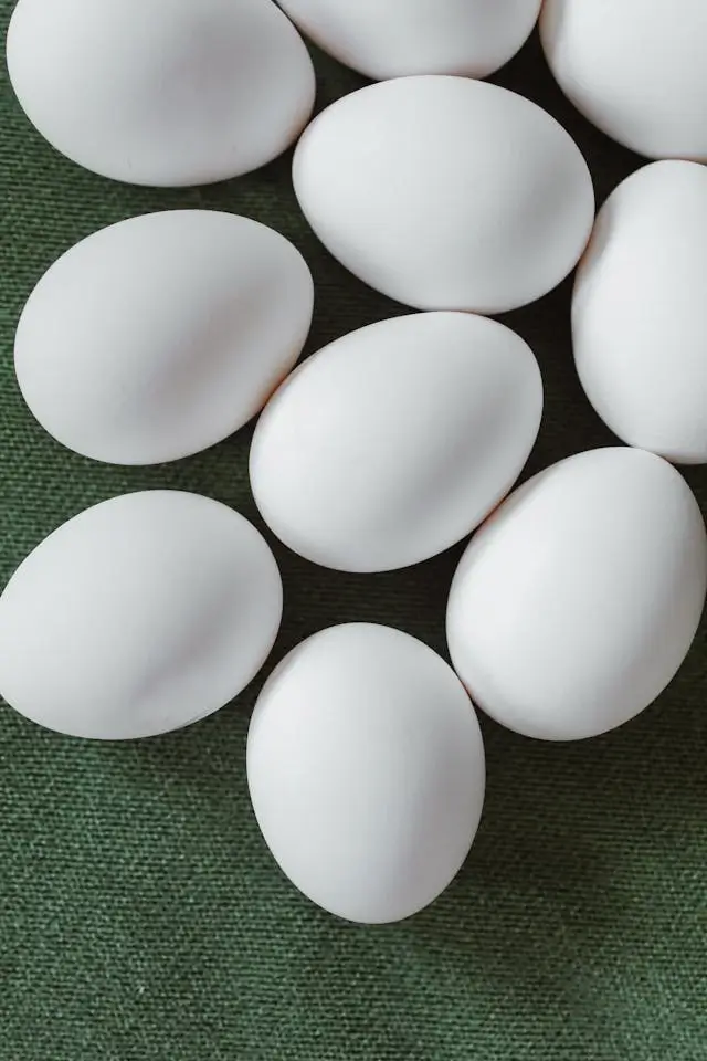 계란의 효능과 성분 효과 장단점 주의사항 달걀