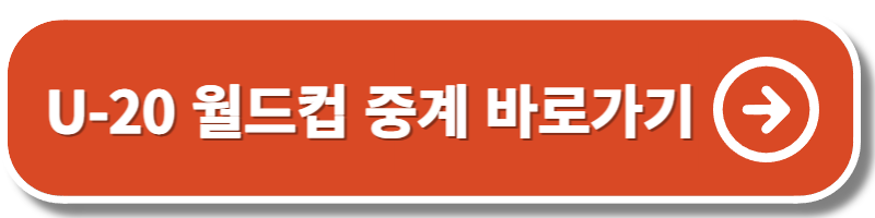 U-20 월드컵 중계 방송