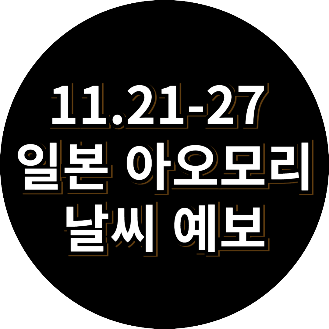 11월 일본 아오모리 날씨 예보