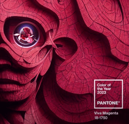 비바 마젠타 팬톤 꽃 사진