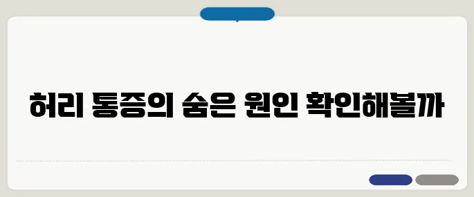 허리가 아픈 이유 디스크 말고 이 근육도 확인