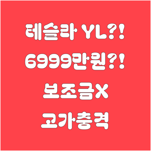 테슬라 모델 YL 가격 6,999만 ..