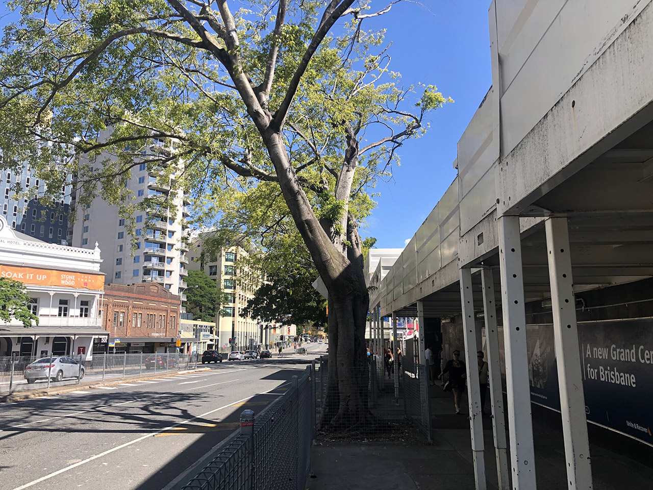 브리즈번 시내 도착