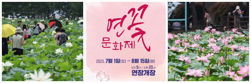 세미원 연꽃문화제 포스터&#44; 연꽃 사진