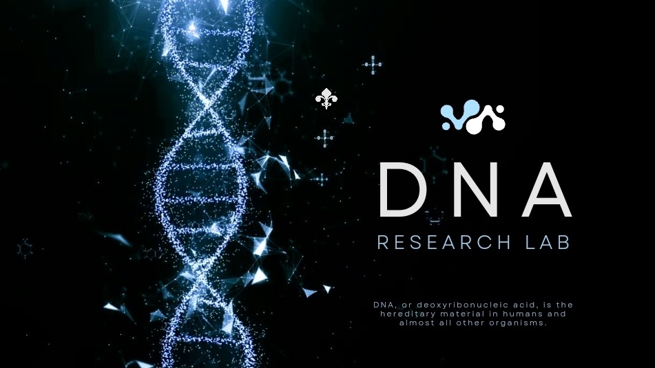 DNA&#44; 후성유전학에서의 메틸기 역할