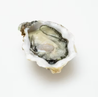 굴 효능 부작용 칼로리