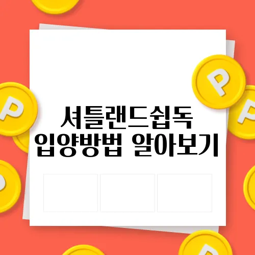 셔틀랜드쉽독 입양방법 알아보기