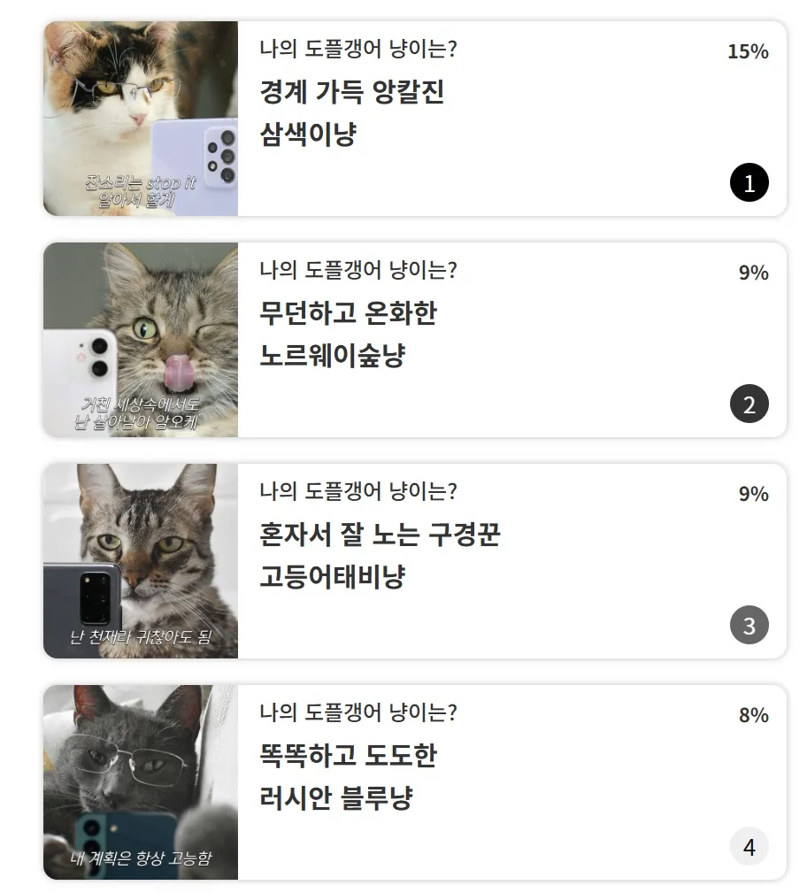 냥플갱어-테스트